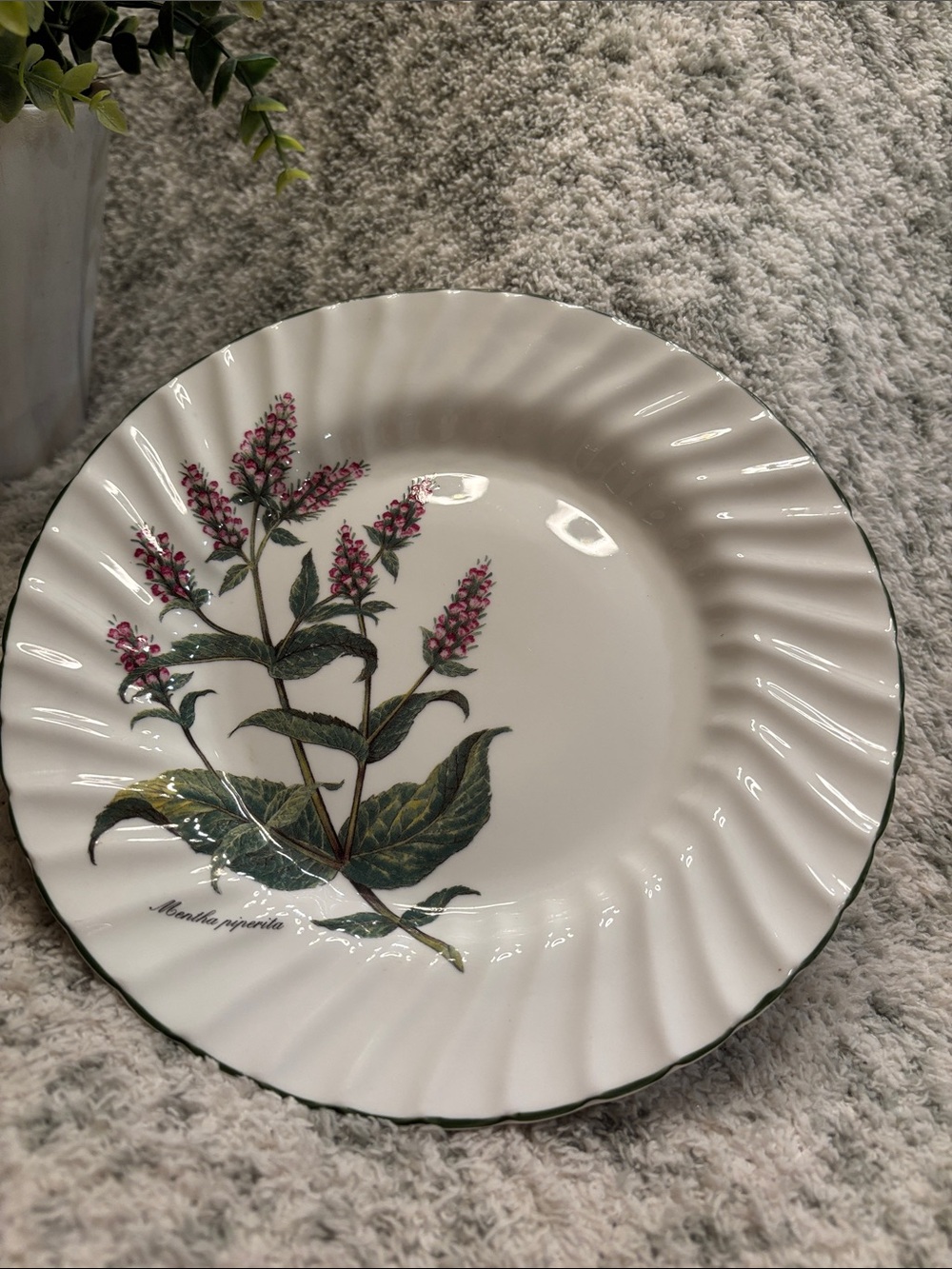Royal Patrician Fine Bone China Pink Botanical Serve Dish England NWT 8” - Picture 12 of 14